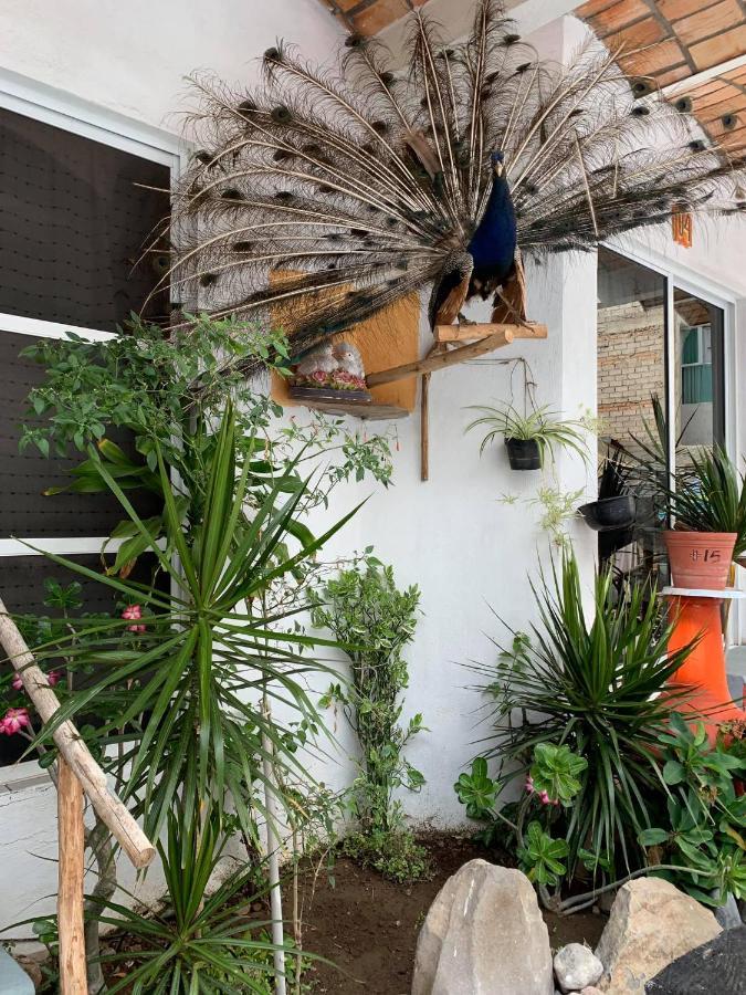 Bungalows Las Palomas 린콘 데 구아야비토스 외부 사진